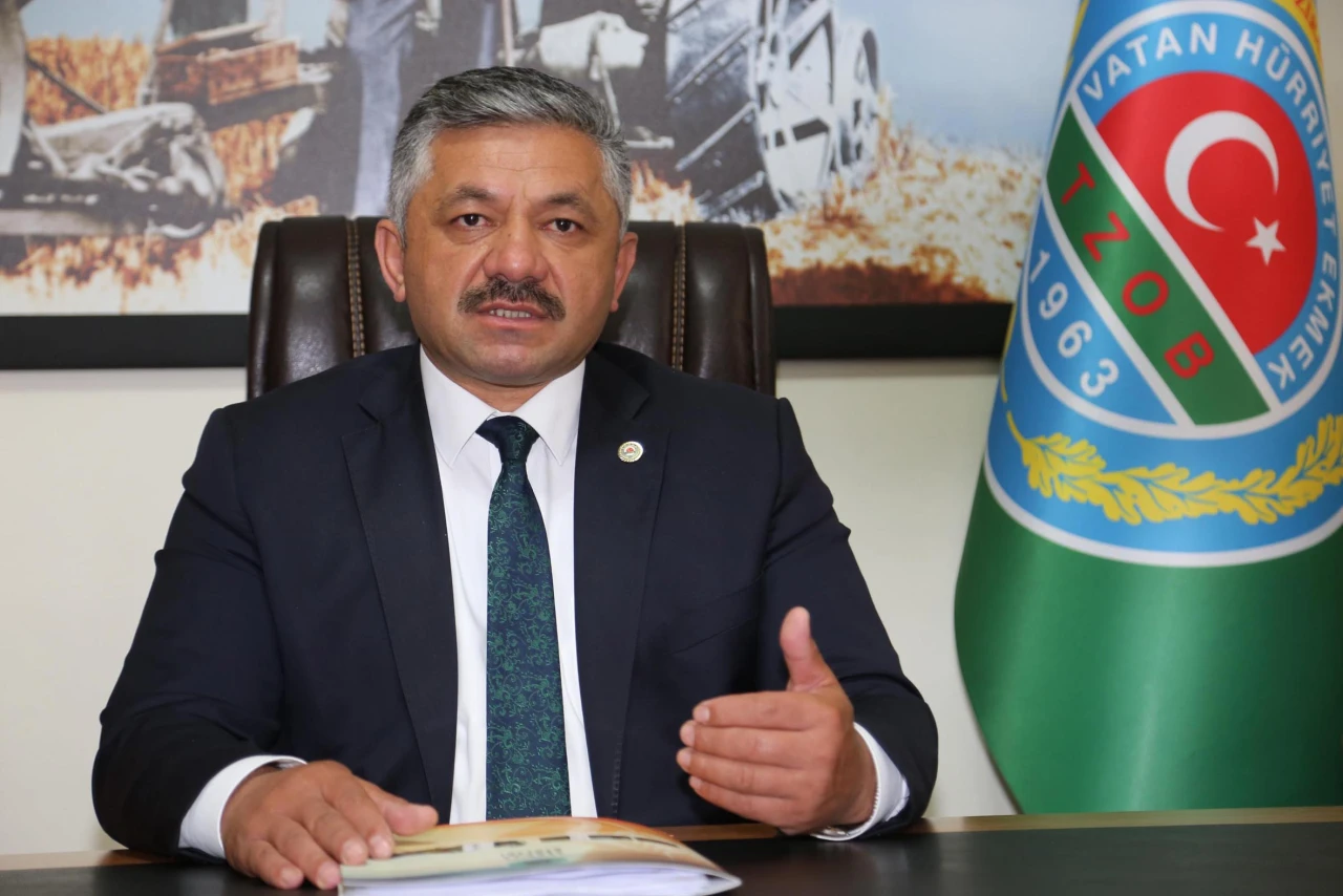 Ordu'da Fındık Fiyatları Yükselişte Geçti! Fındığın Kilosu Hangi Fiyattan Satılıyor, Fiyatlar Daha Fazla Yükselecek Mi?