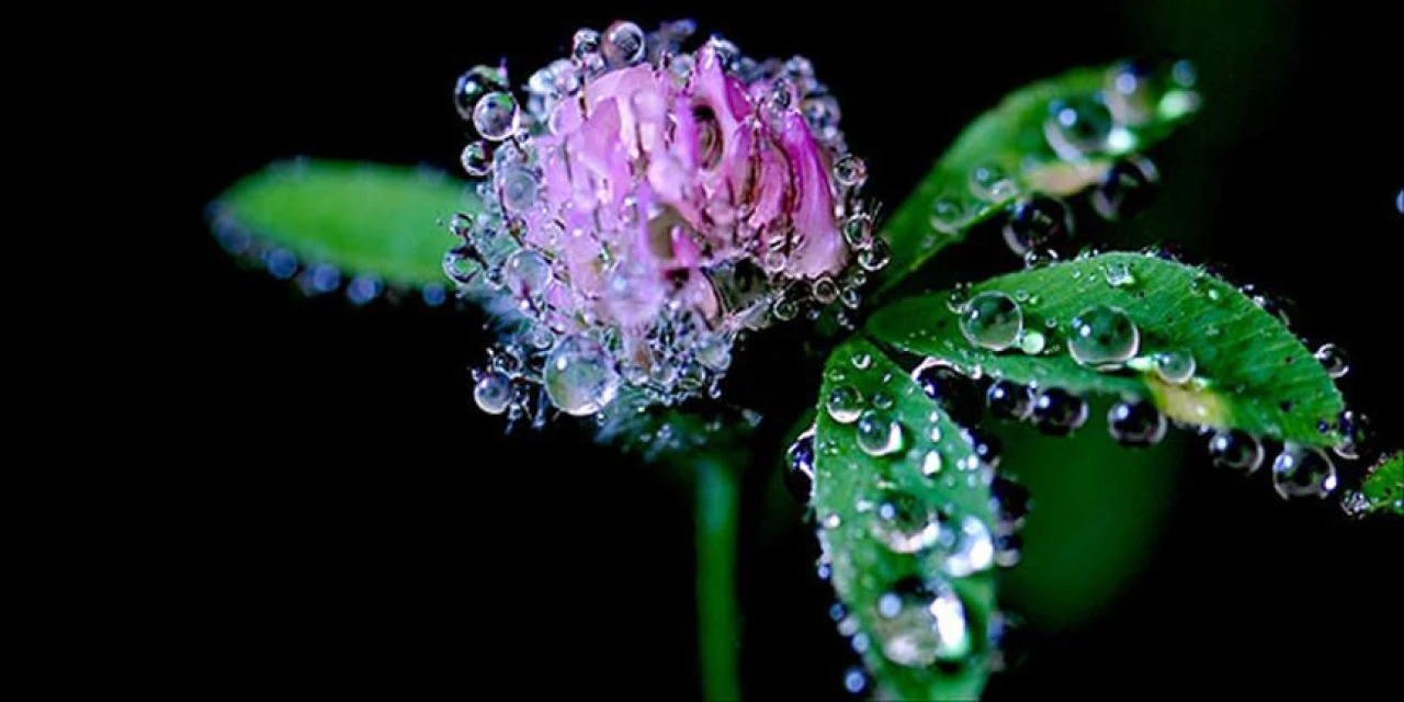 2025 Cemre Düşme Tarihleri Ne Zaman? Suya, Toprağa ve Havaya İlk Cemre Ne Zaman Düşecek?