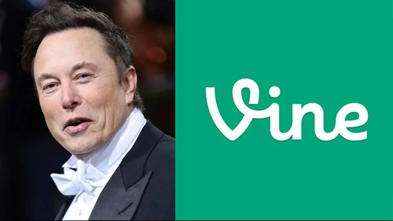 Vine açıldı mı, tekrar açılması gündemde? Vine neden kapatıldı?
