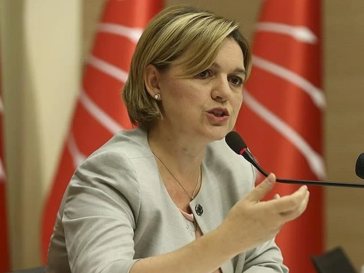 Selin Sayek Böke Kimdir, Kaç Yaşında, Nereli? Eşi Kim, Mesleği ve Biyografisi ve Hayatı