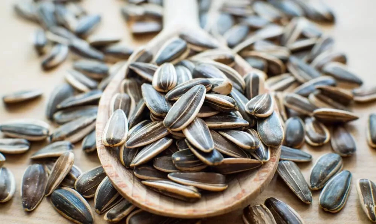 Çekirdek Yemek Şişmanlatır mı? 1 Kase Çekirdek Kilo Aldırır mı?