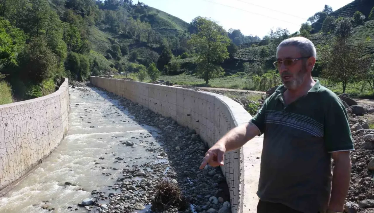 Rize’de dere ıslahı çay üreticisini mağdur etti: Bahçesine ulaşamıyor, çay dalda kaldı!