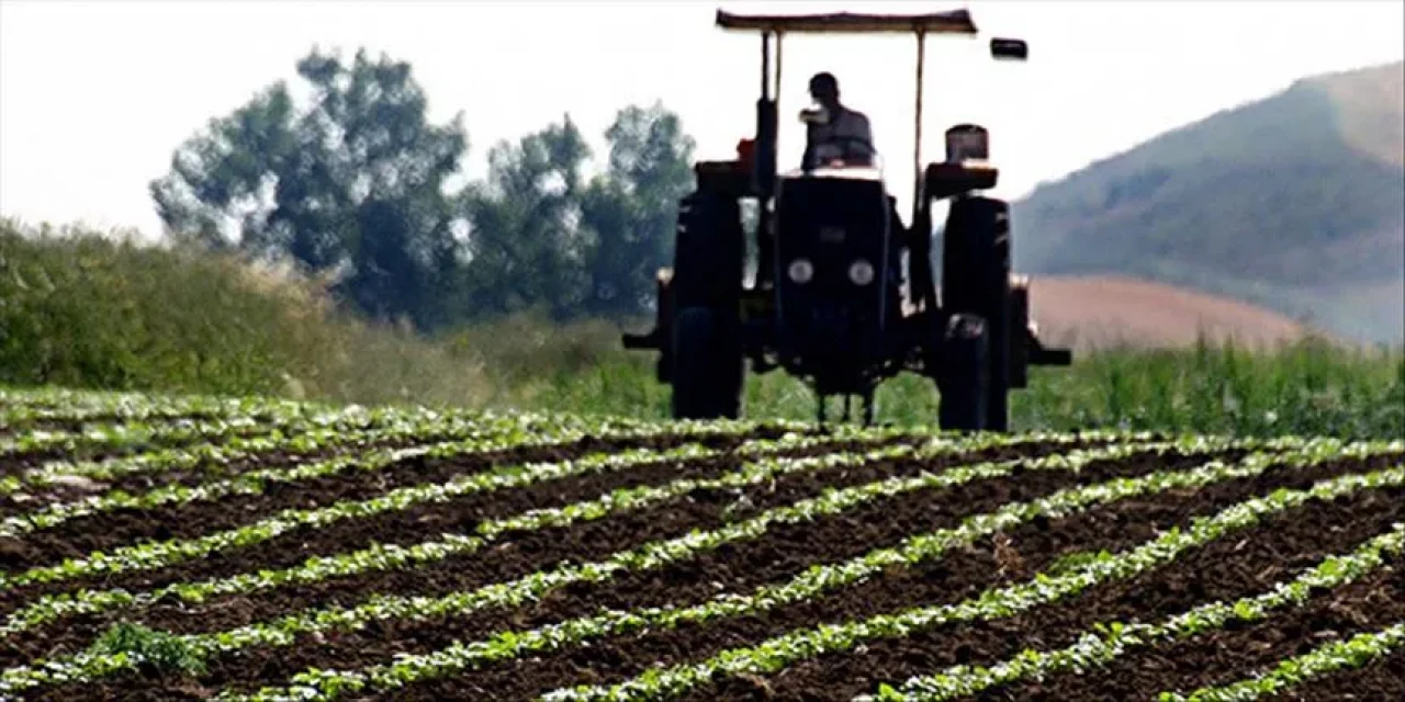 Tarım ÜFE’de şaşırtan yükseliş! Meyvelerde rekor artış