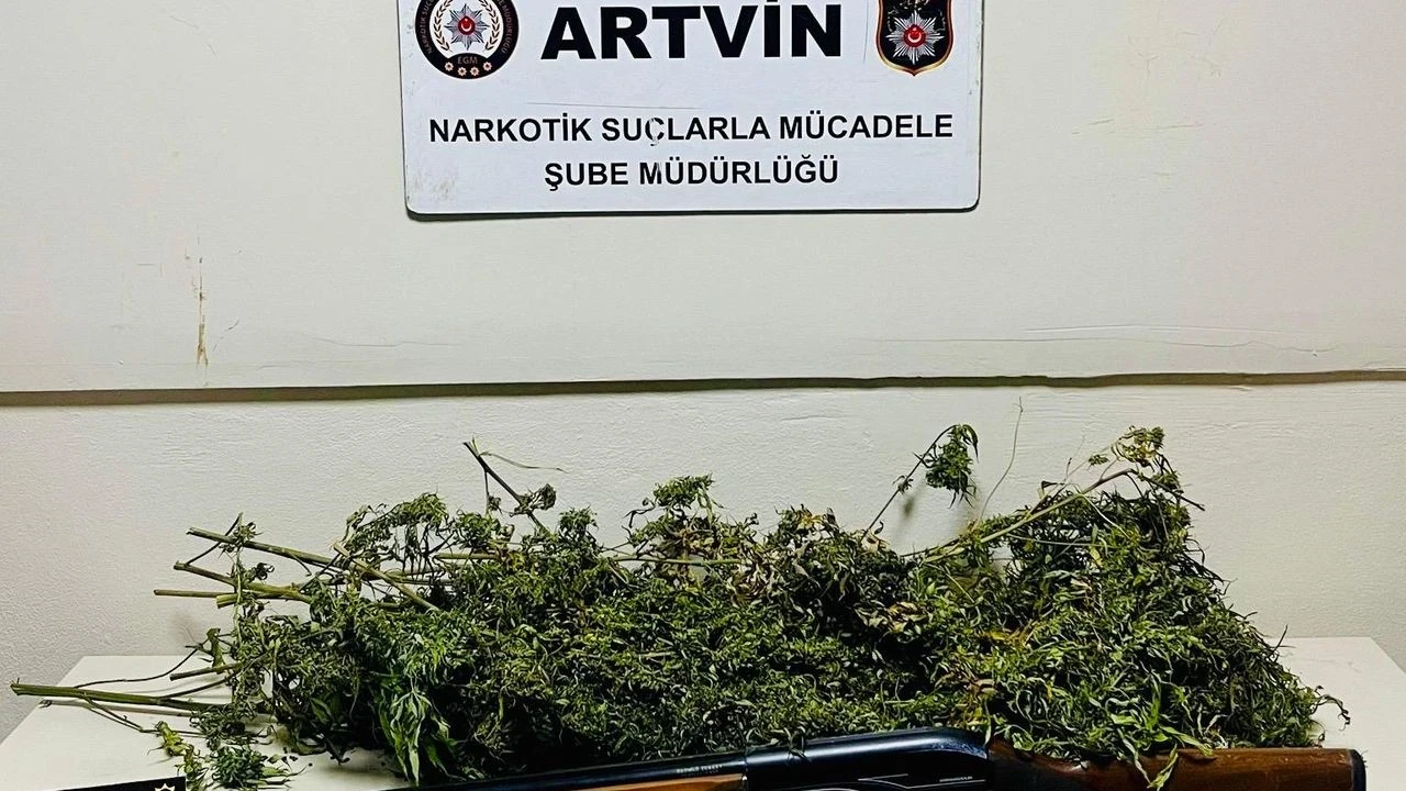 Artvin’de zehir tacirlerine darbe: 1 kilo esrarla yakalandı!