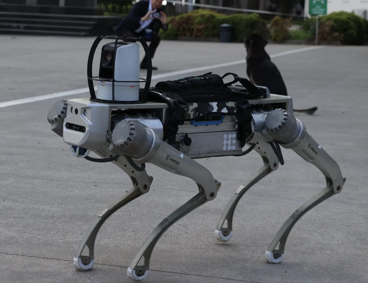 Milli robot köpek Proteo, 2026'da göreve başlıyor: Nato'yu etkileyen Türk zekası