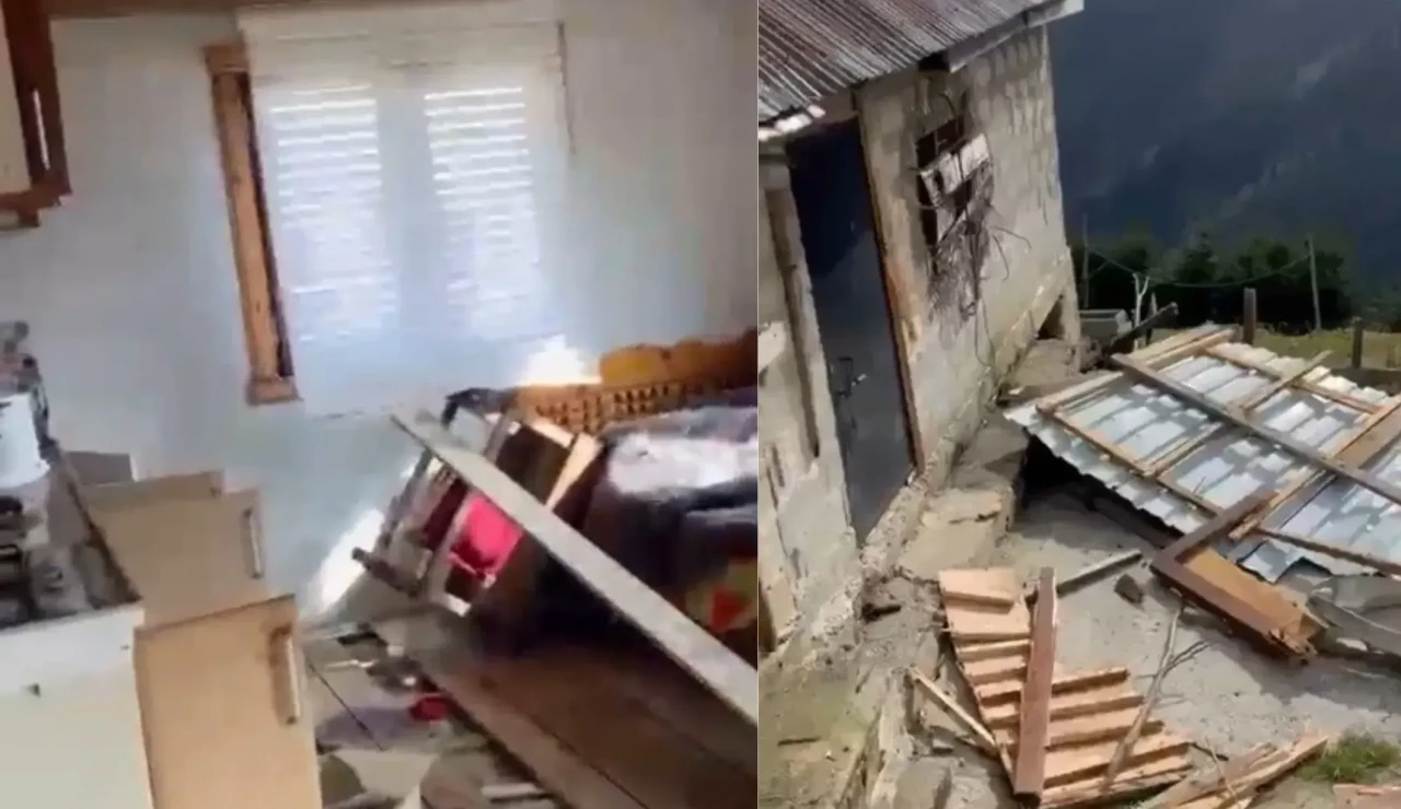 Rize’de ayı istilası: 20 ev zarar gördü!