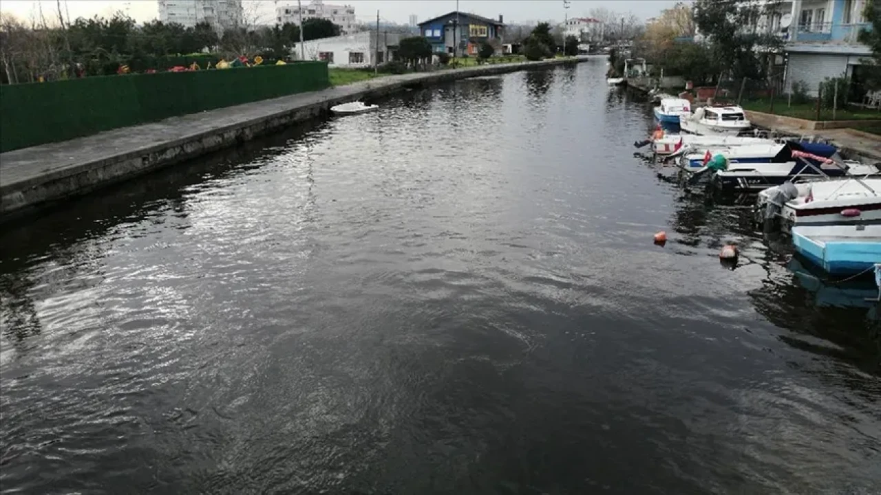Vatandaşlar şaşkın! Nesli tükenmekte olan o canlıyı görenler inanamadı