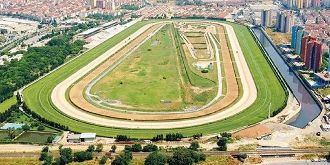 Veliefendi'de rekorlar altüst oldu: Bir arap tayı 10.5 milyon liraya satılarak tarihe geçti