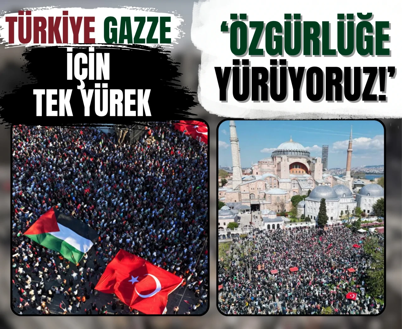 81 ilde Gazze’ye destek yürüyüşü: İstanbul’da buluşma noktası Ayasofya!