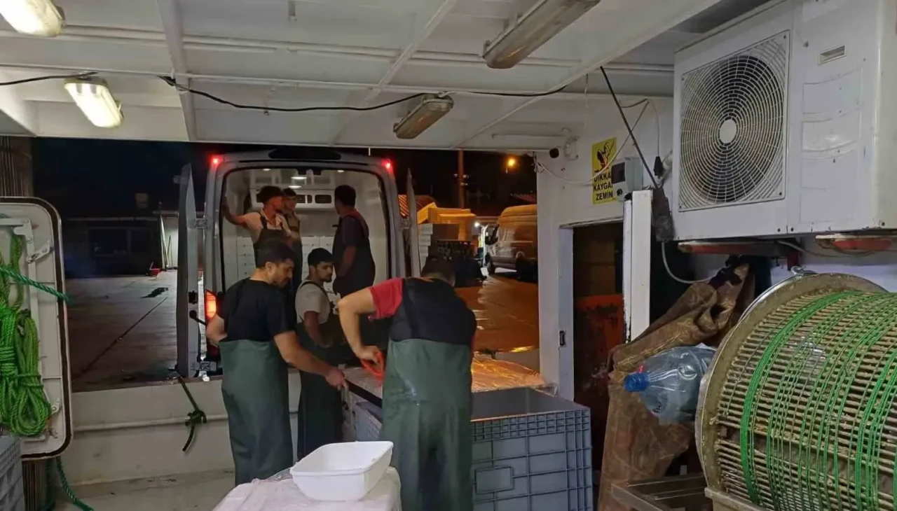 Akçakoca’da hamsi çılgınlığı: 198 ton çıktı, yasal olmayan avlanmaya cezalar yağdı!