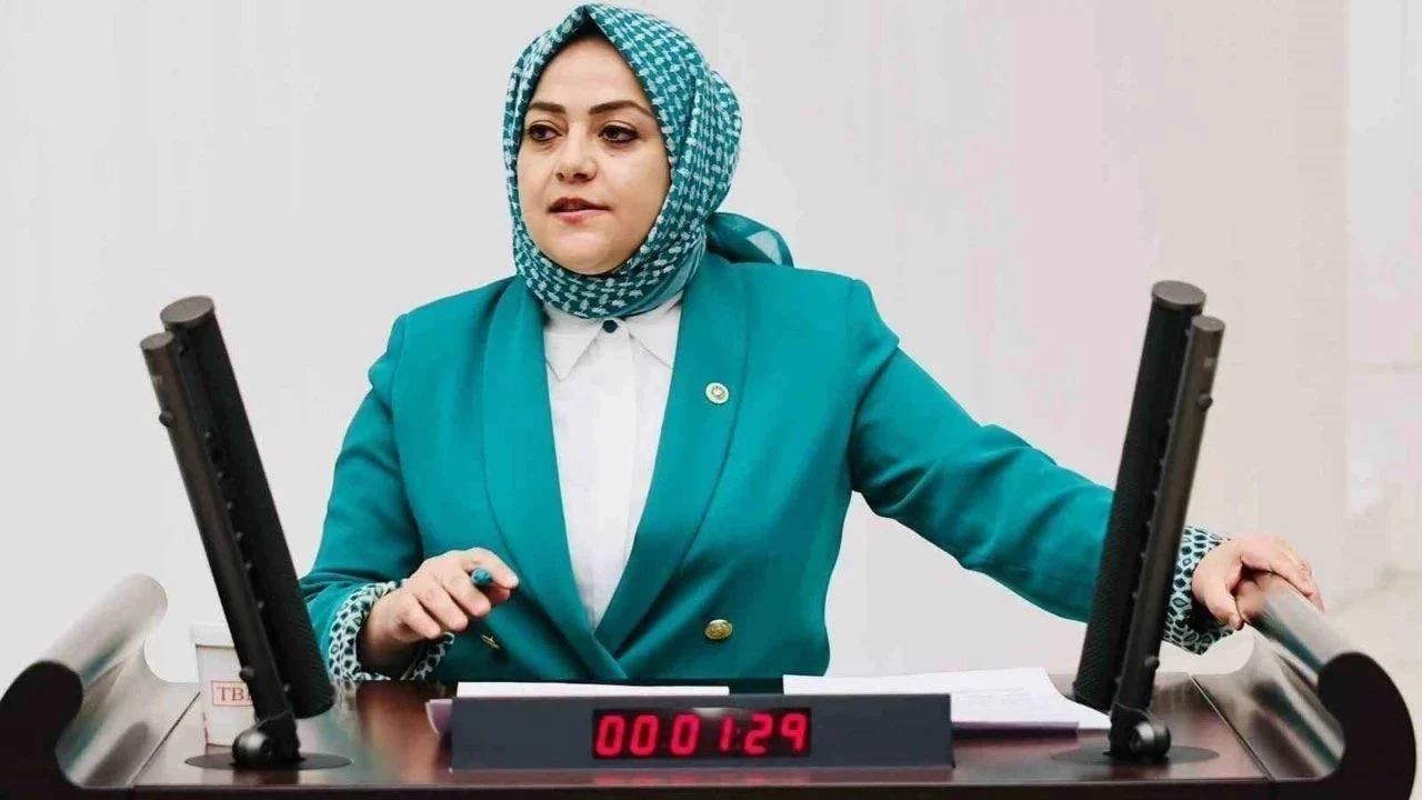 Sema Silkin Ün Kimdir? İşte Hayatı ve Siyasi Kariyeri