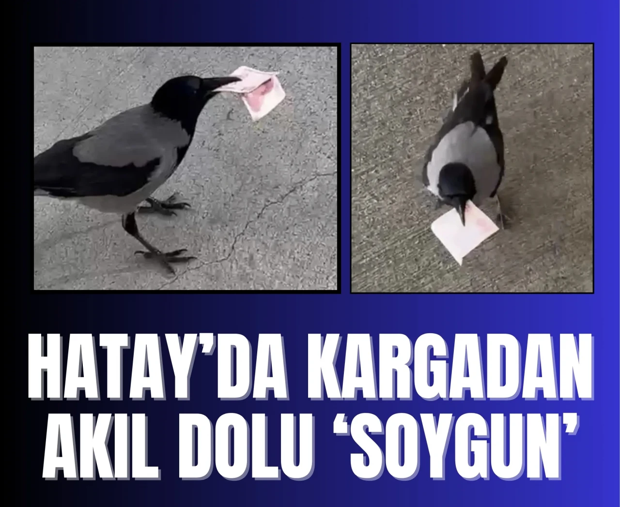 Hatay’da kargadan akıl dolu 'soygun': Sosyal medya bu olayı konuşuyor!