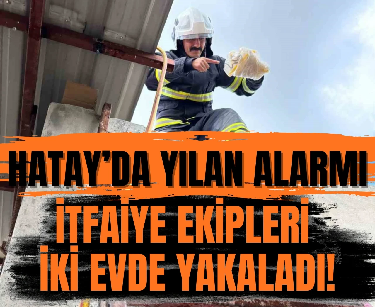 Hatay’da yılan alarmı: İtfaiye ekipleri iki adreste yakaladı!