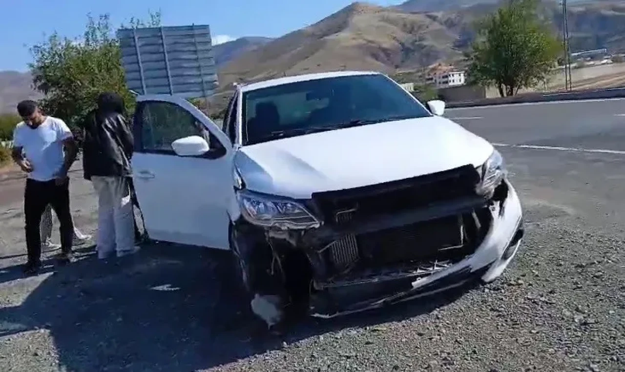 Elazığ’da talihsiz kaza: Otomobil köpeğe çarptı, 1 kişi yaralandı