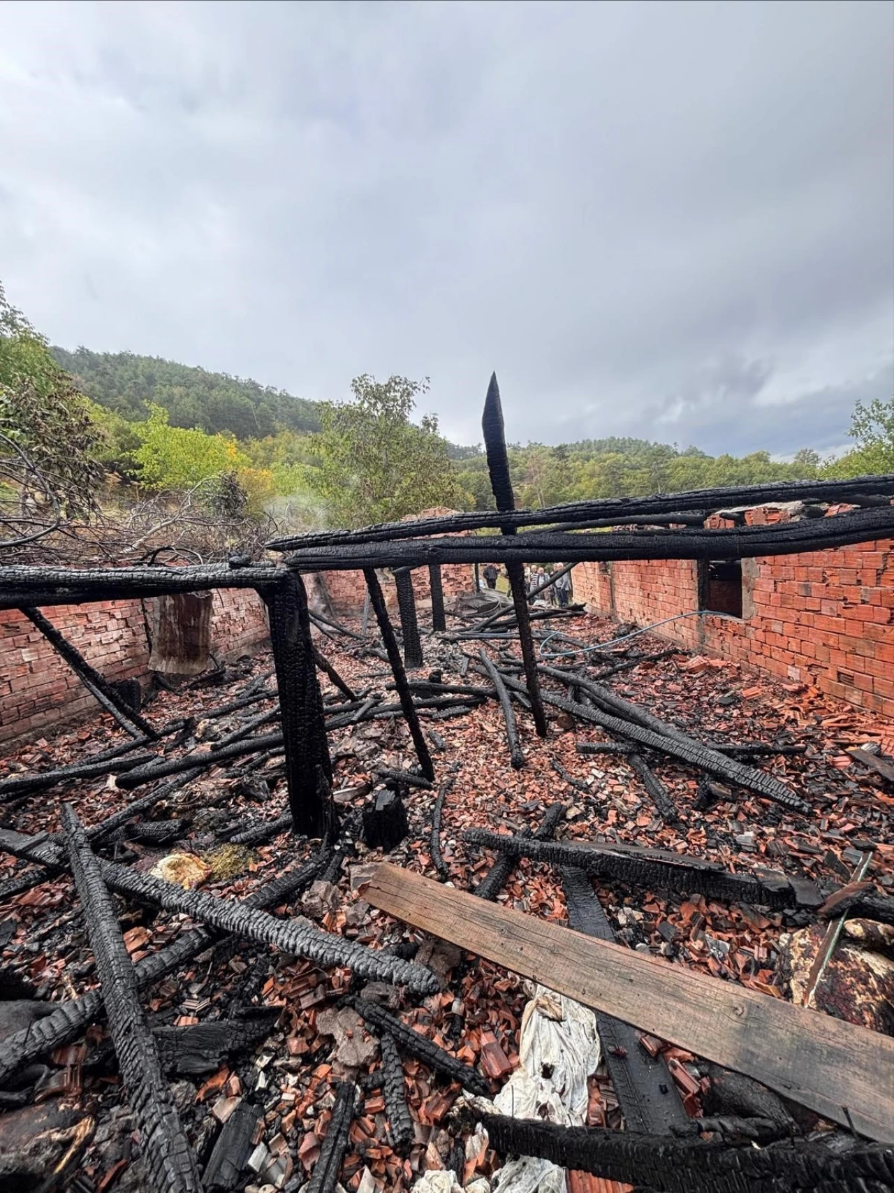 Yanan ahırdaki 30 küçükbaş hayvan telef oldu