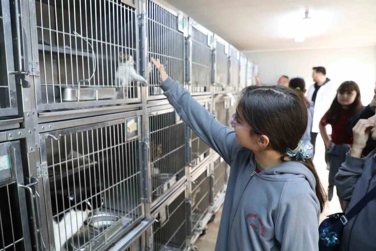 Dünya Hayvanları Koruma Günü'ne özel Gaziosmanpaşa’da çocuklardan anlamlı etkinlik