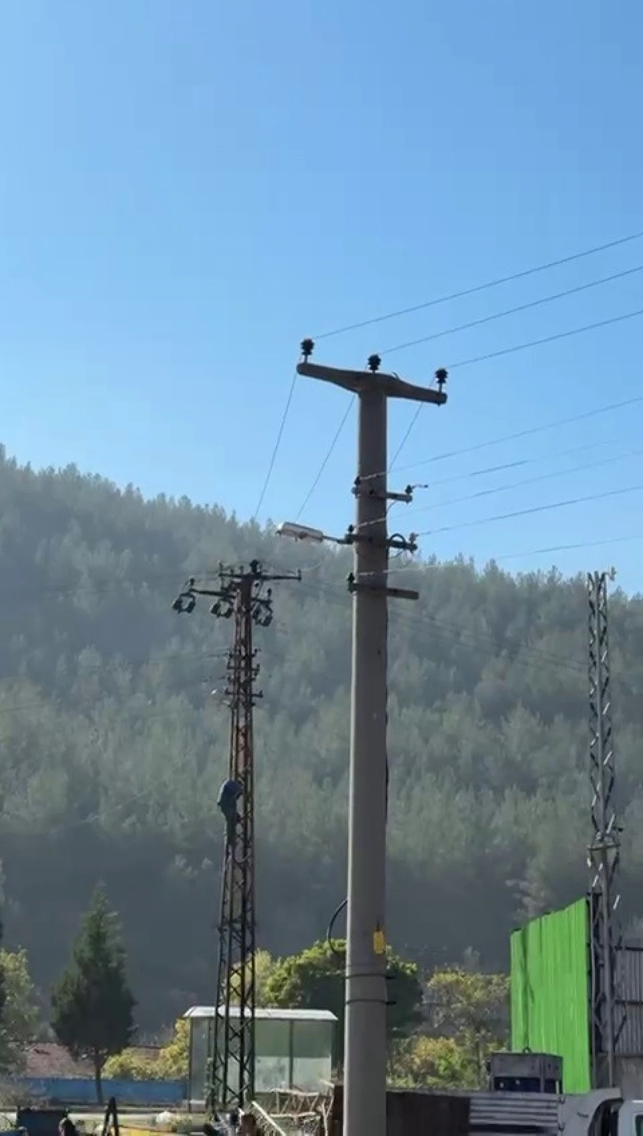 Trafik cezası yedi, 'Atlarım' deyip direğe tırmandı!