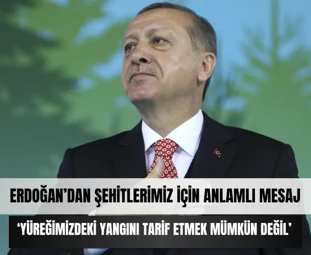 Erdoğan'dan şehitlerimiz için anlamlı mesaj: 'Yüreğimizdeki yangını tarif etmek mümkün değil'