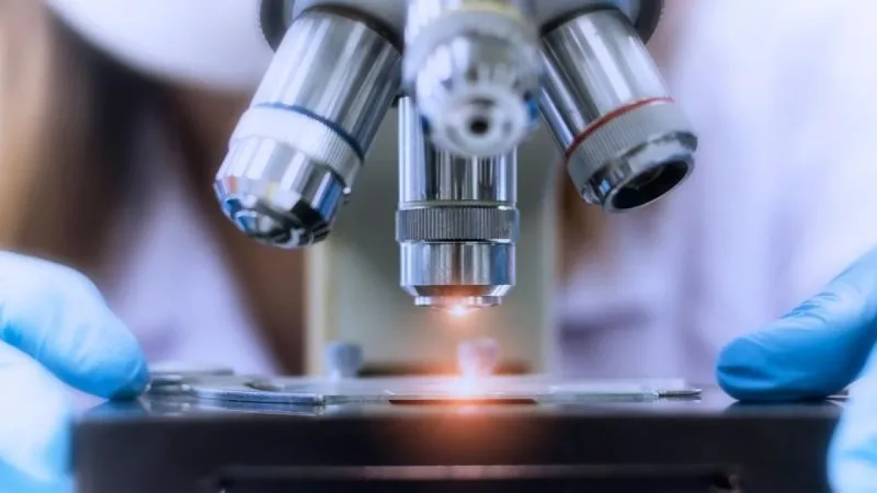 AR-GE yenilik ve kritik araştırmaların rotası yol haritaları ile çizilecek