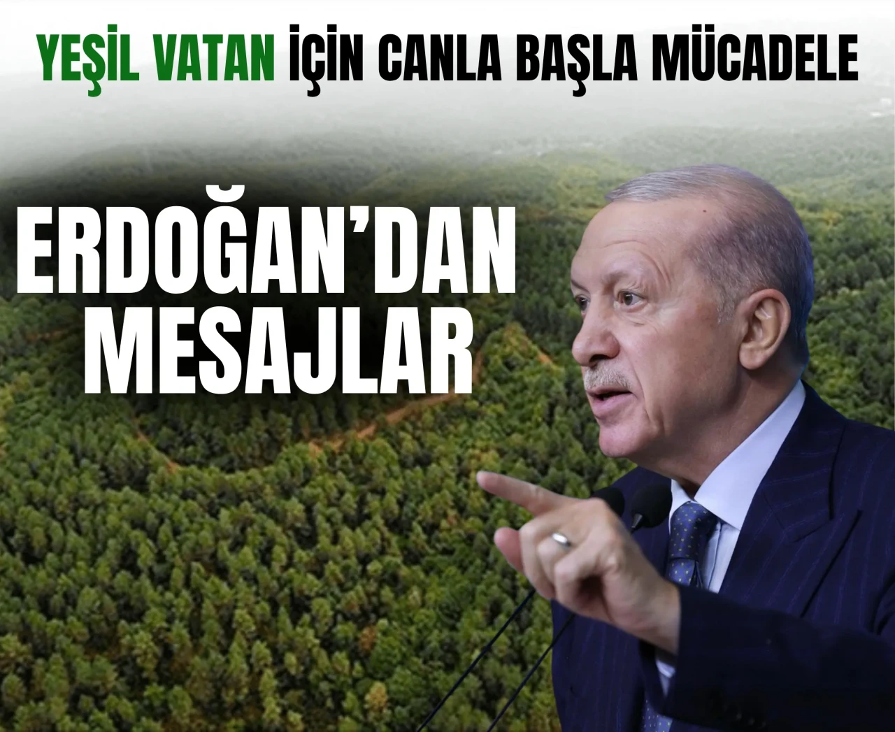 Cumhurbaşkanı Erdoğan: 'Ormanlarımızı sadece ağaç olarak değil, nefes olarak görüyoruz'