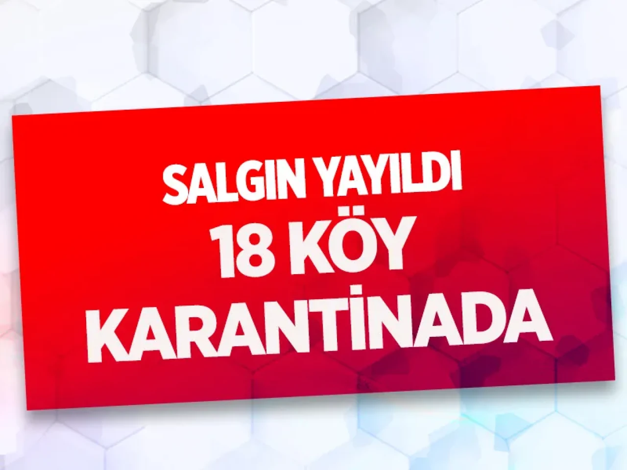 Mudurnu’da şap nedeniyle 18 köy ve 4 mahalle karantinaya alındı