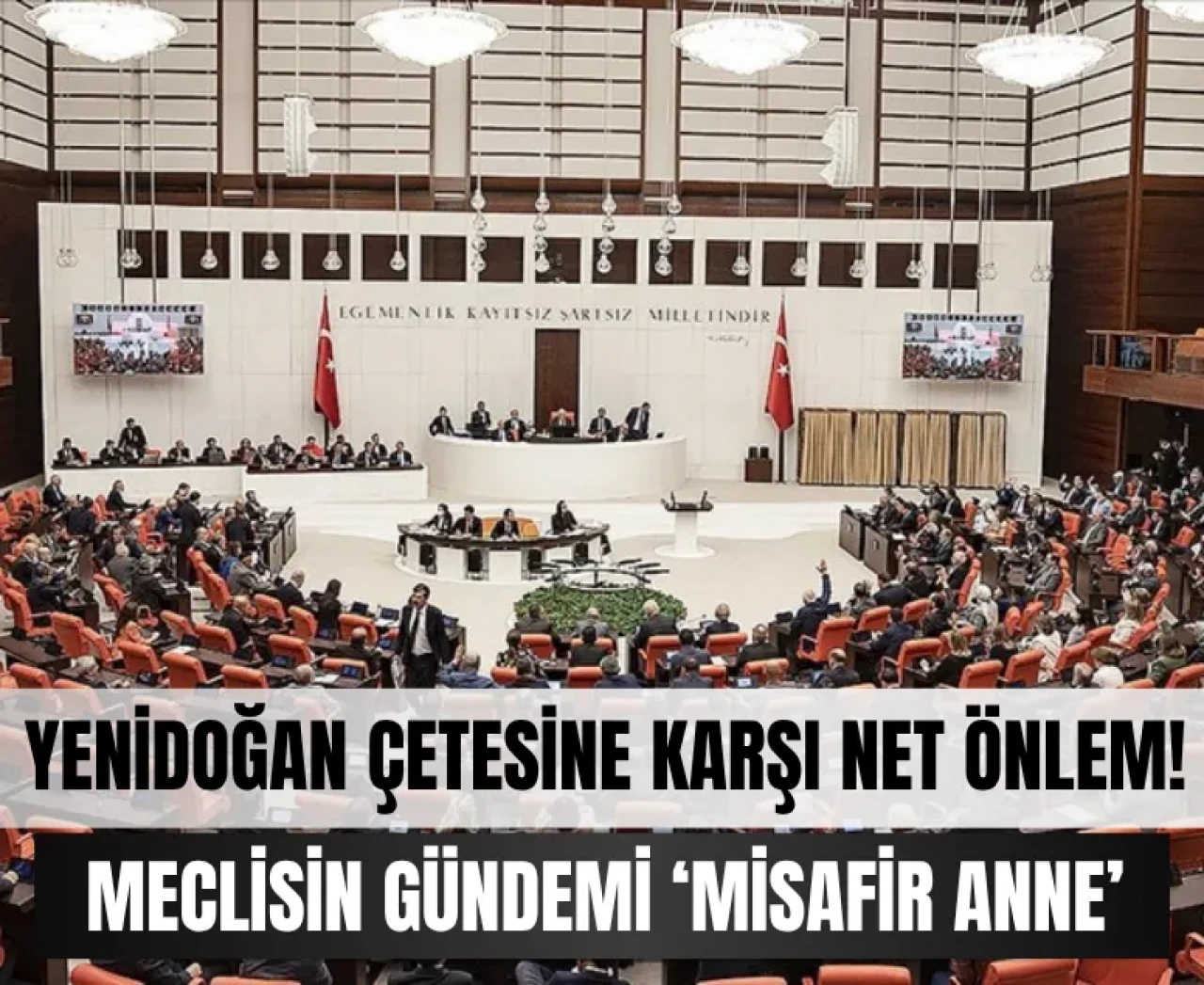 İnsanlık dışı 'Yenidoğan Çetesine' karşı meclisten net önlemler!