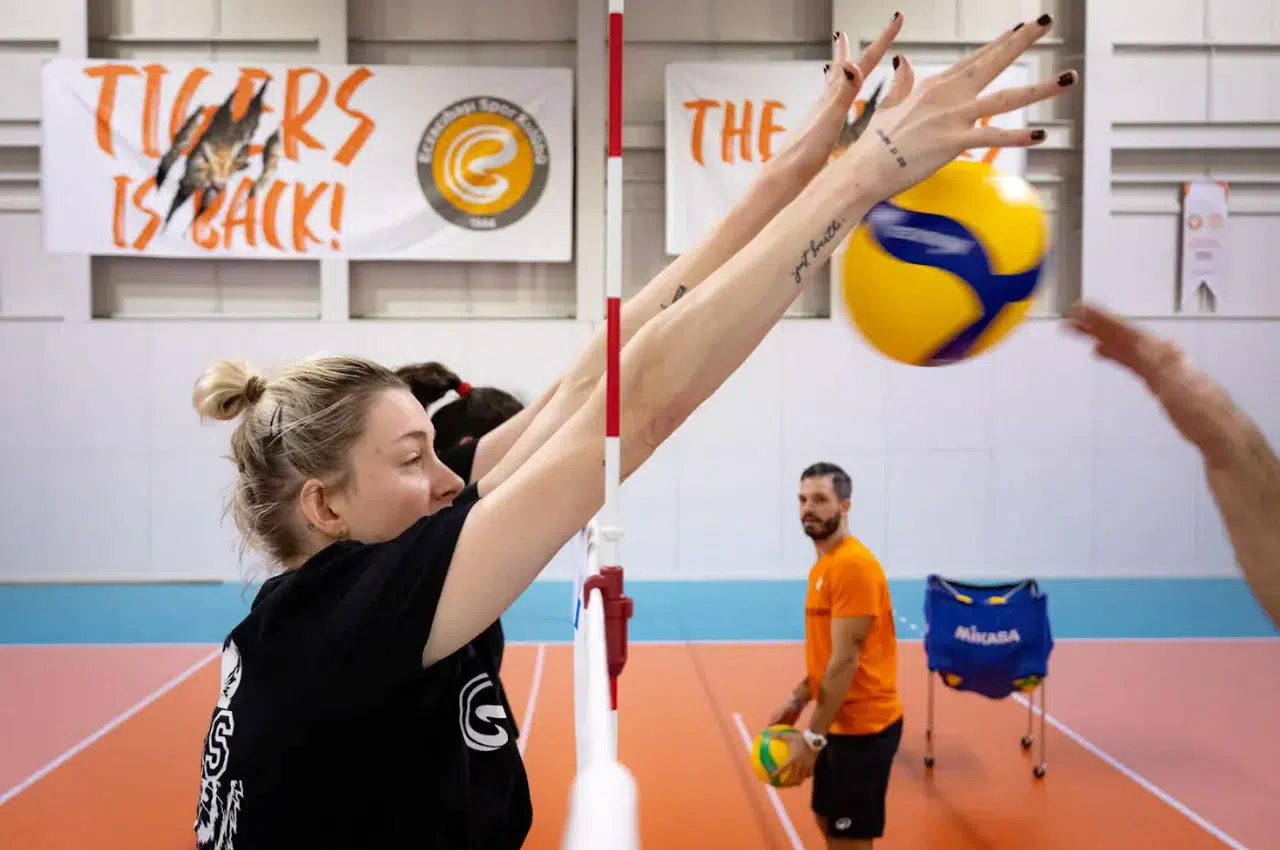 Eczacıbaşı Dynavit Fenerbahçe Medicana maçına hazır: Karşılaşma kapalı gişe