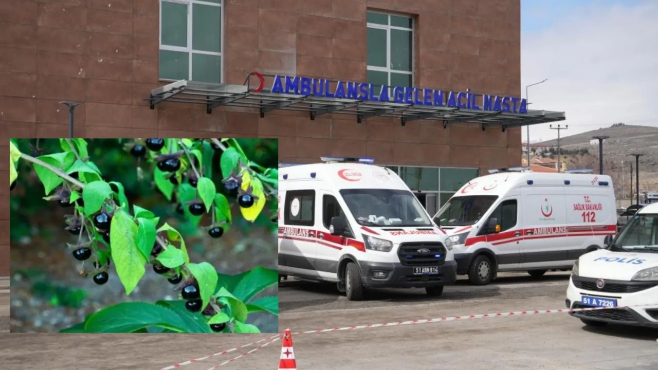 Niğde’de 'Güzel Avrat Otu' faciası: 11 kişi zehirlendi