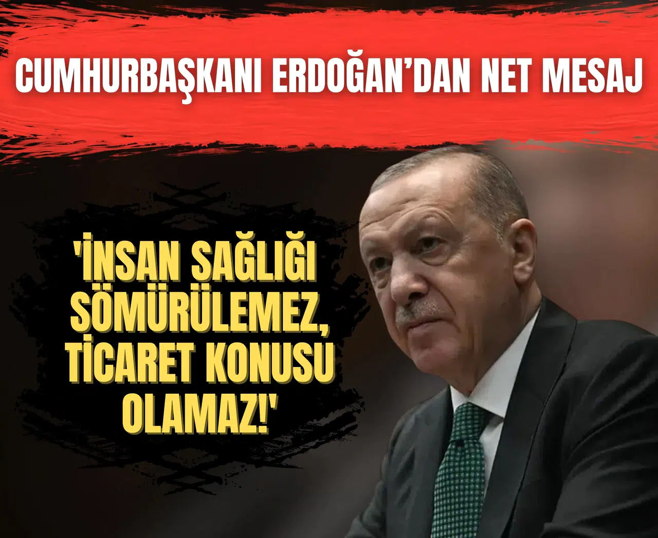 Cumhurbaşkanı Erdoğan: 'İnsan sağlığı sömürülemez, ticaret konusu olamaz!'