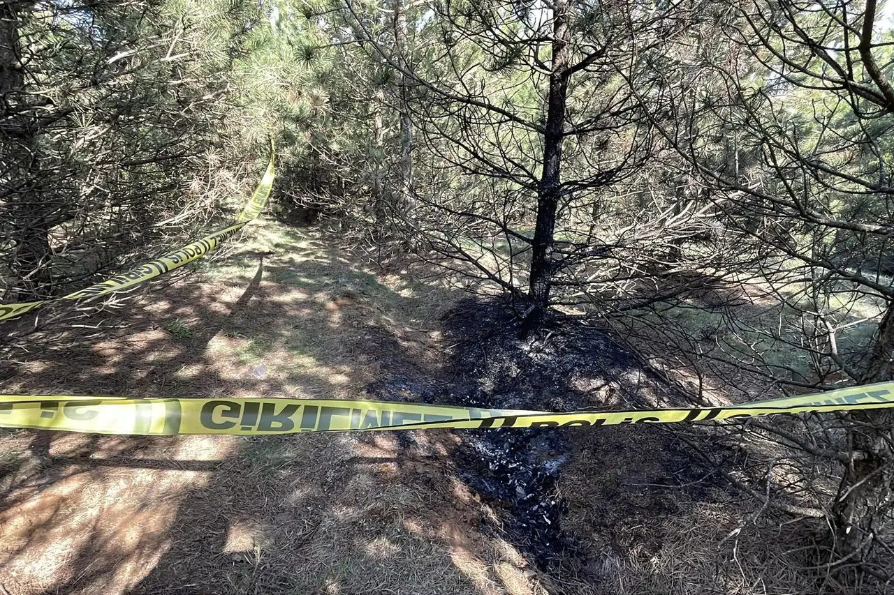 Gürcistan’da ölüm sessizliği! Ormanda Türk vatandaşına kanlı tuzak