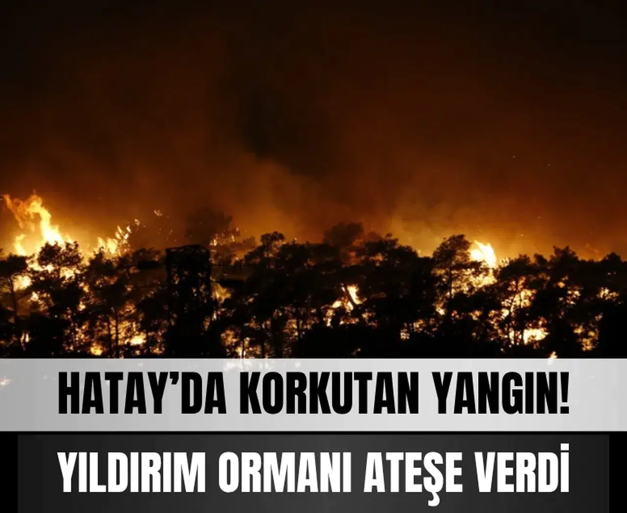 Hatay’da korkutan yangın! Yıldırım ormanı ateşe verdi
