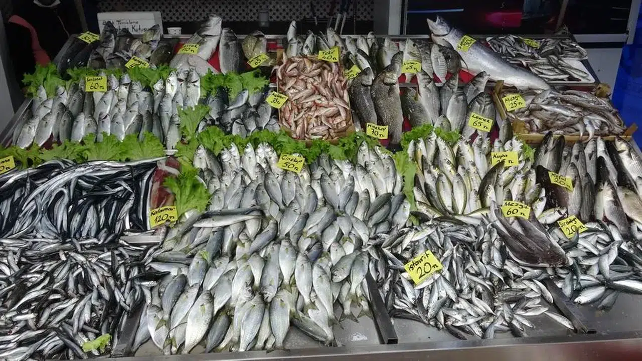 Karadeniz’de bu yılın sürpriz balığı belli oldu