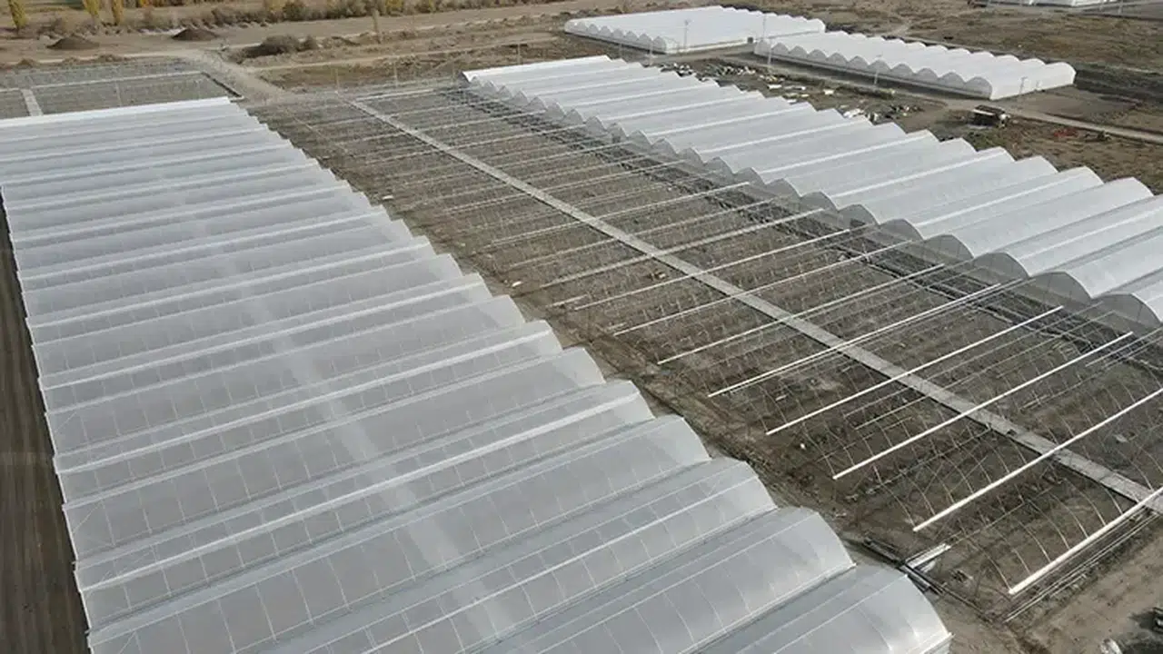 Doğu Anadolu'nun en büyük toplu sera alanı kuruluyor