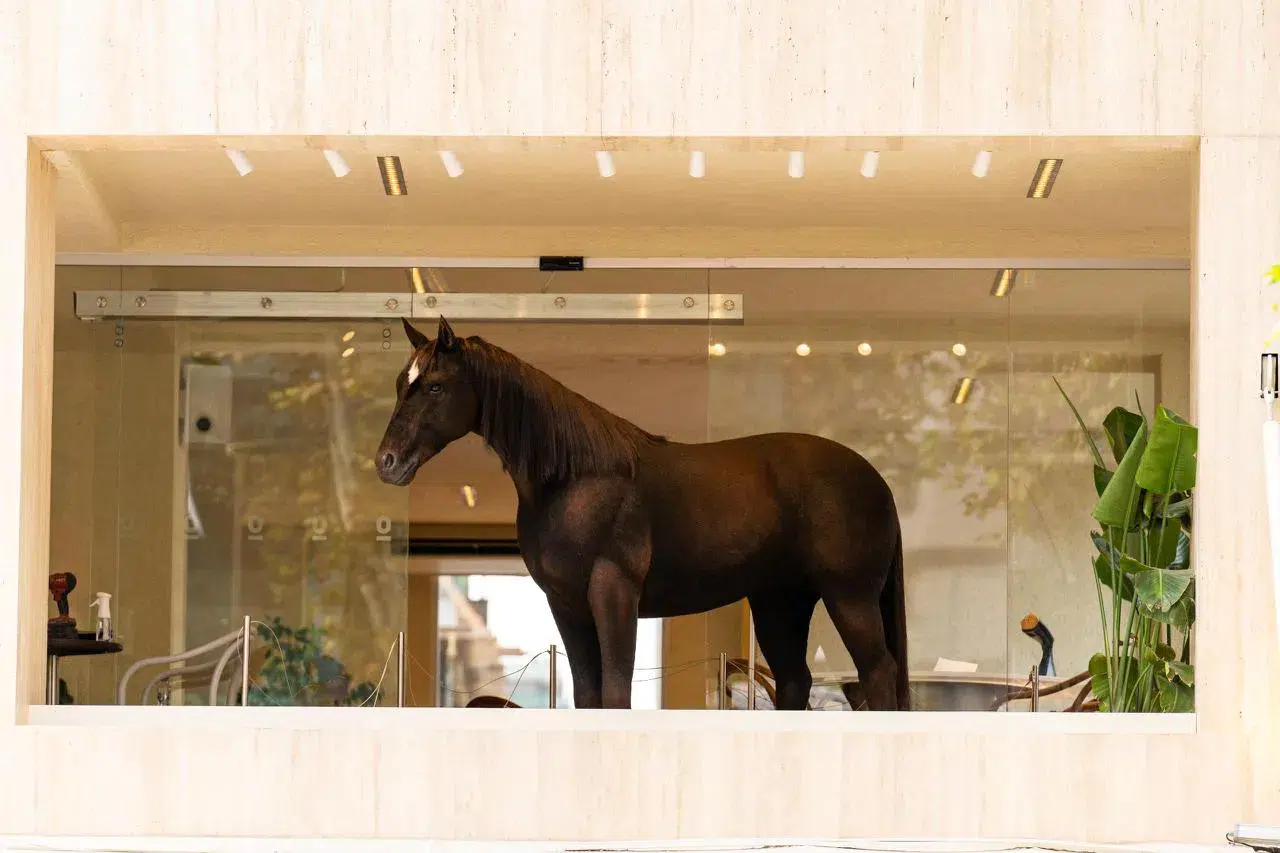 Jurassic Park teknolojisi İstanbul’da: Espressolab’den animatronik at sürprizi