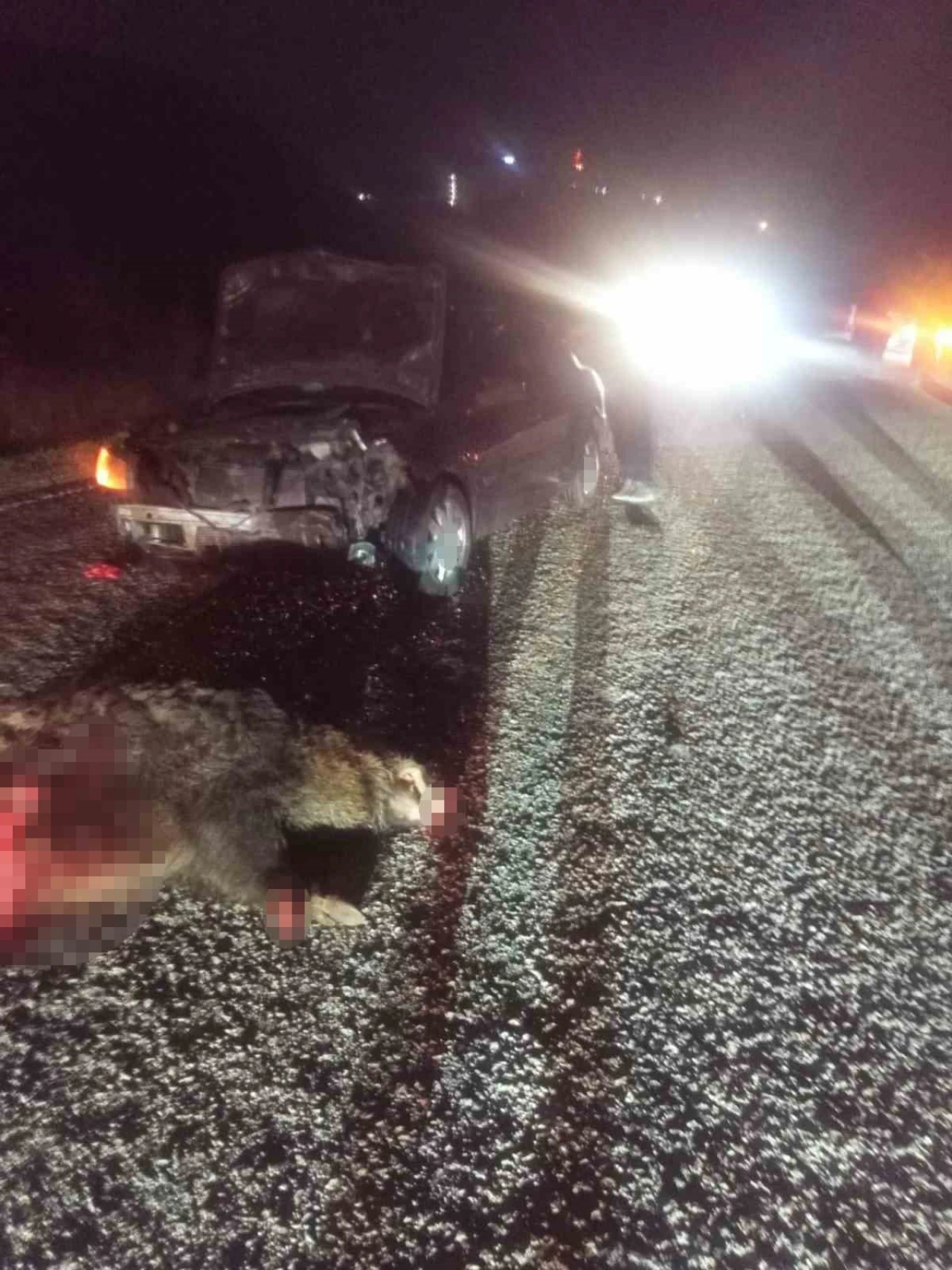 Bolu’da domuza çarpan otomobil hurdaya döndü: 1 yaralı