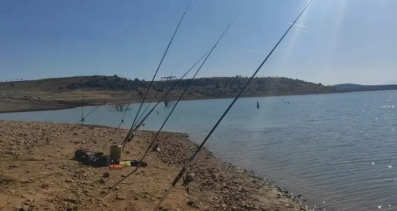 Balıkçılar oltayı attı, martı yakalandı: Kahramanlık kıyıdan geldi!