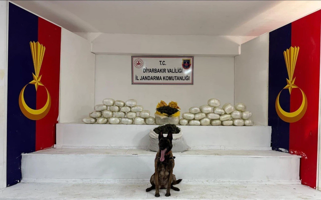 Skunk, esrar, metamfetamin... Sokakları karartmak isteyen çetelere geçit yok!