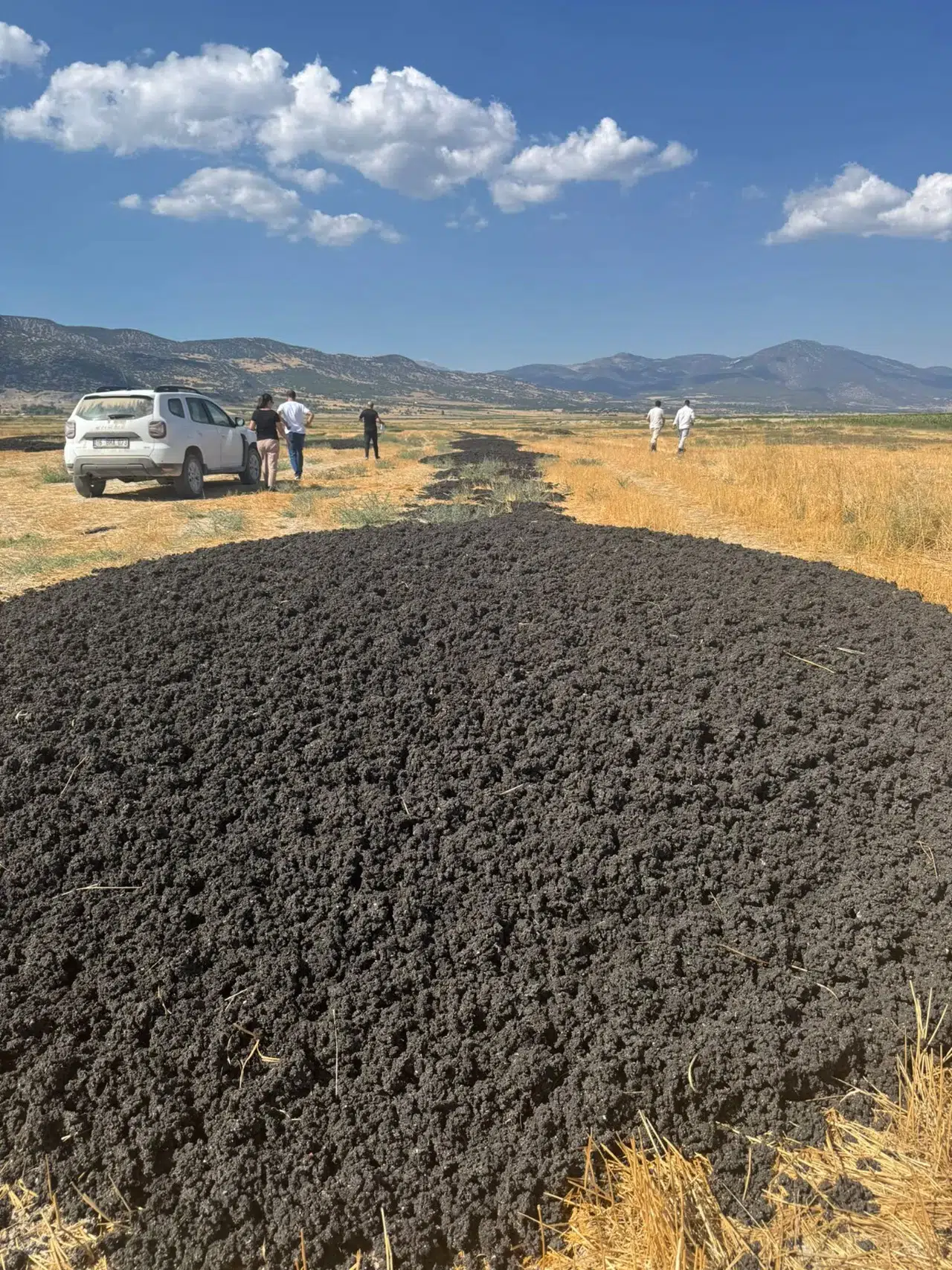 Arıtma çamurunu açık araziye dökene rekor ceza