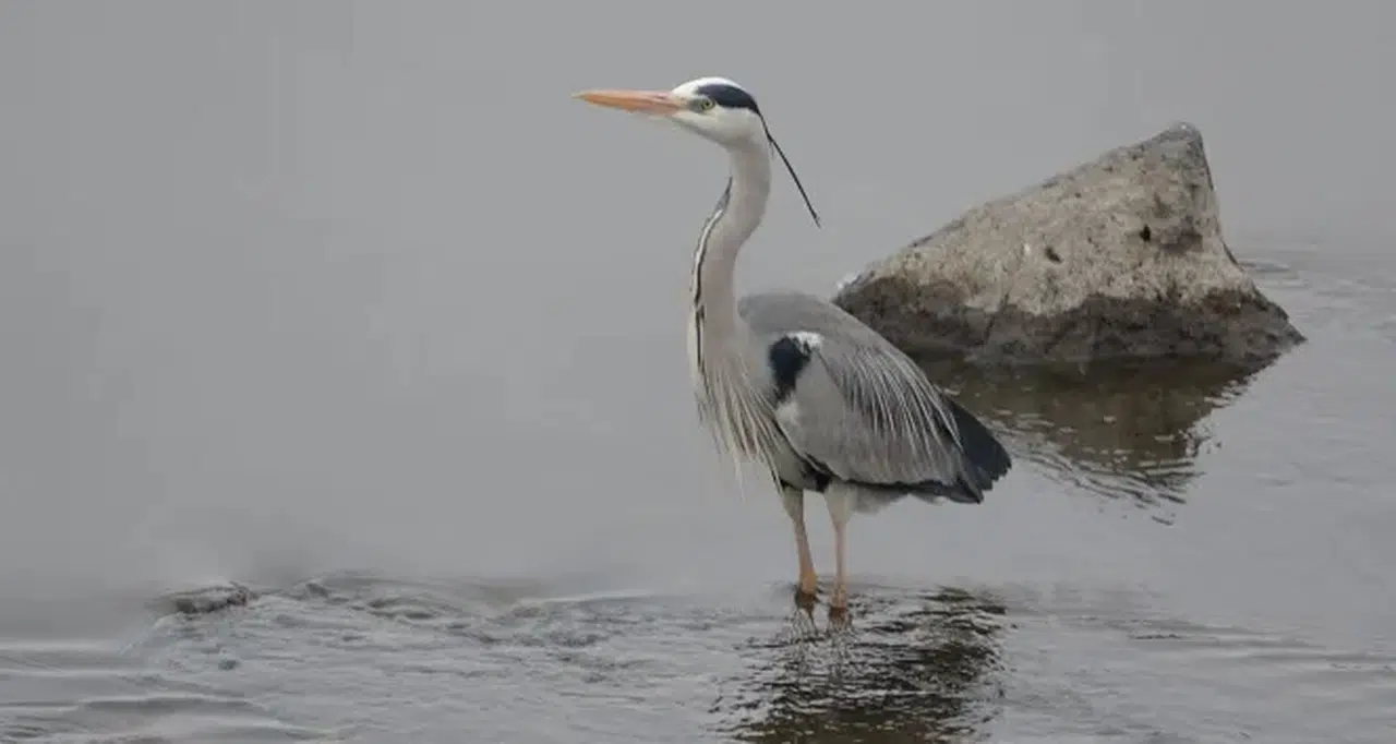 İnegöl’de doğa yürüyüşü kurtarma operasyonuna dönüştü!