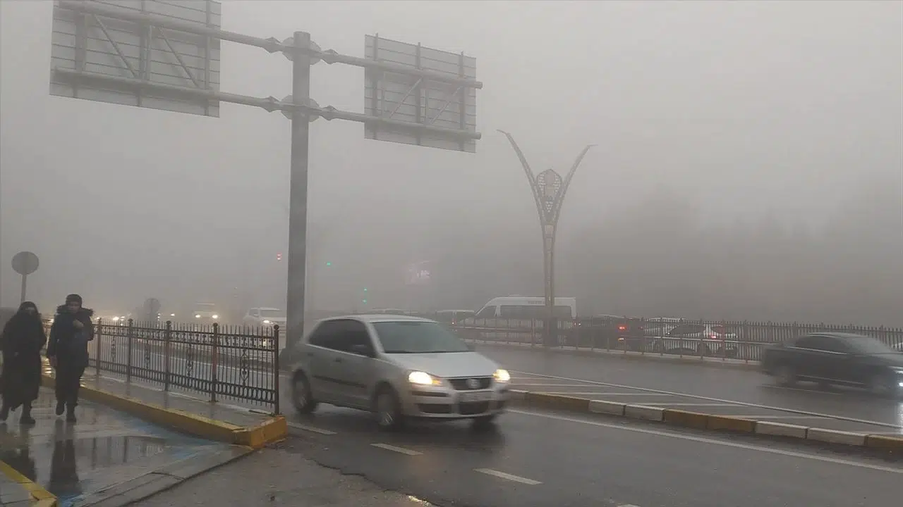 Şanlıurfalılar gördükleri manzarayla adeta şoke oldu! Kızıltepe’de şaşırtan olay...