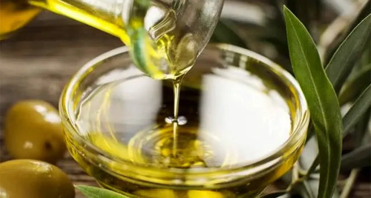 Edremit zeytininde yeni dönem: Coğrafi işaret başvuruları başladı!