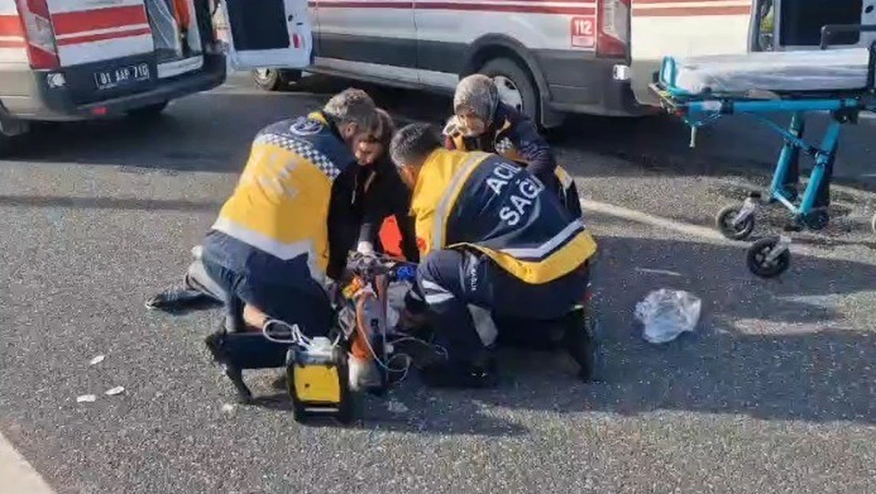 Asfaltta acı son! Yol verilmeyen canlar listesine bir isim daha eklendi...