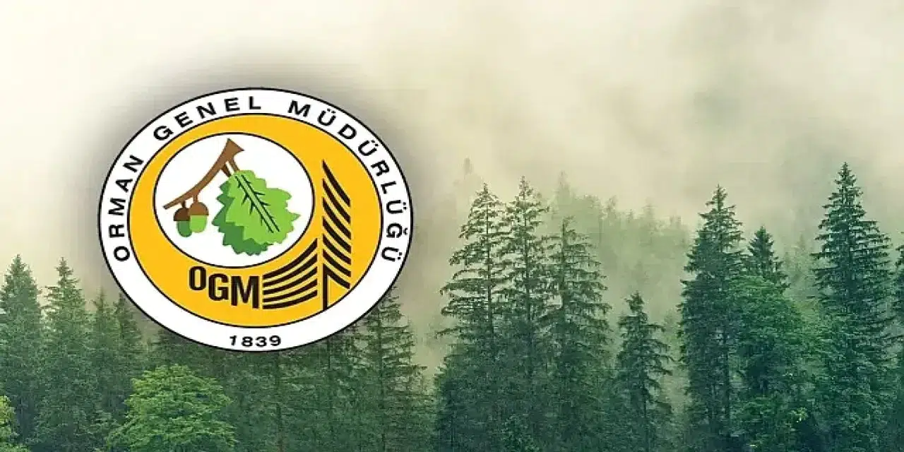 Binlerce aday bu ilanı bekliyordu... OGM’nin 496 kişilik dev alımı tüm detaylarıyla açıklandı!