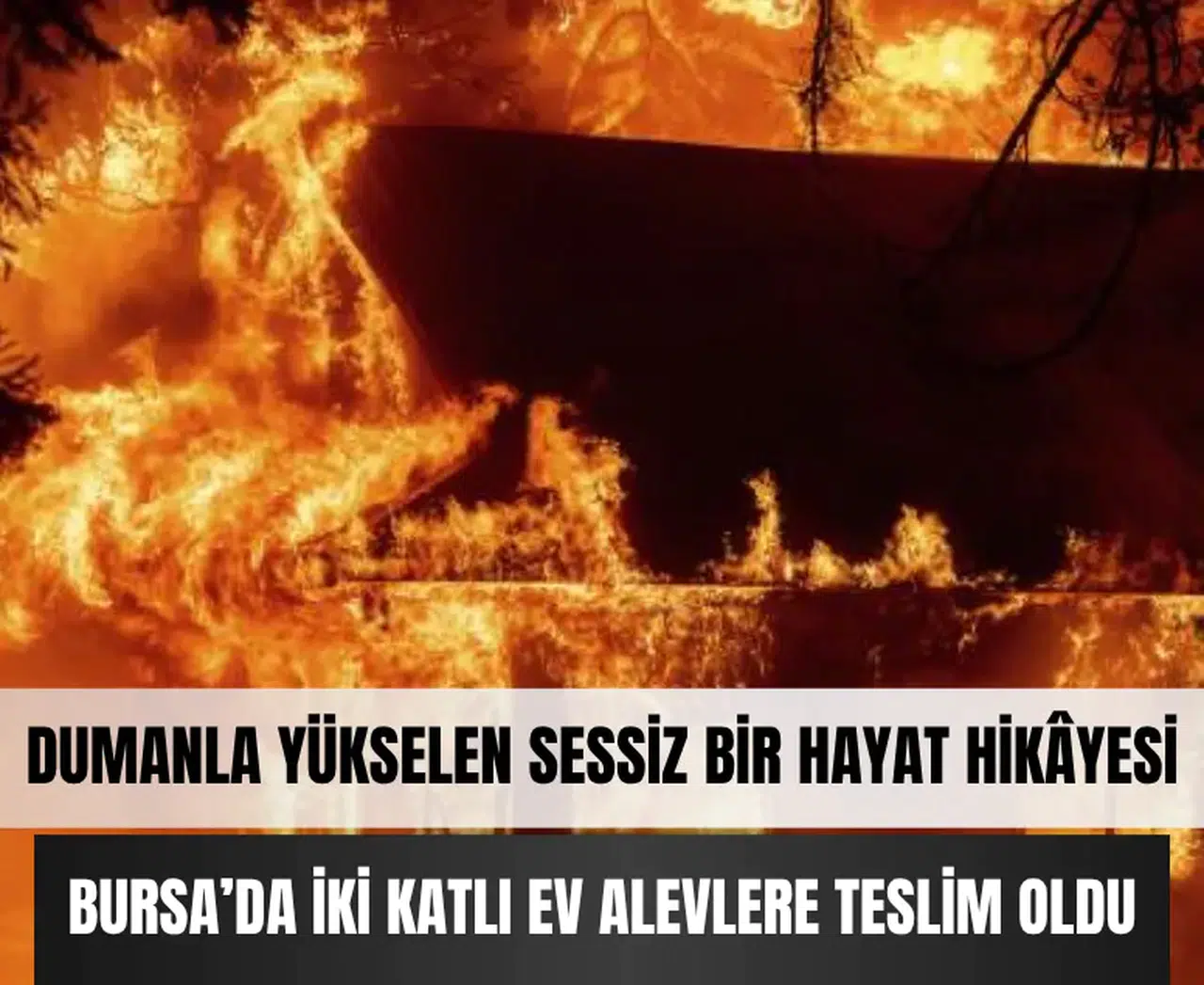 Alevler içinde son nefes... Sessizce giden bir can