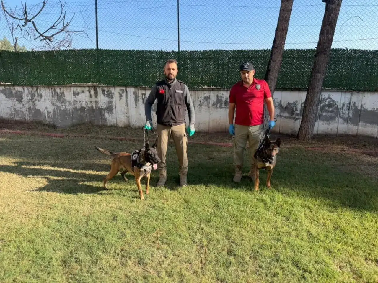 Halkın sevgilisi, suçlunun kâbusu... Hector ve Mailo’dan büyük başarı!