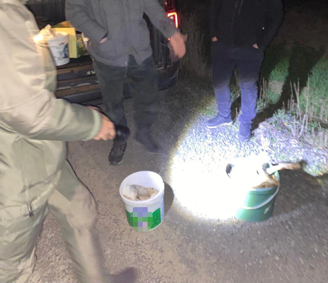 Avcılık değil katliam... O ışık sadece tavşanı değil, cebi de yaktı!