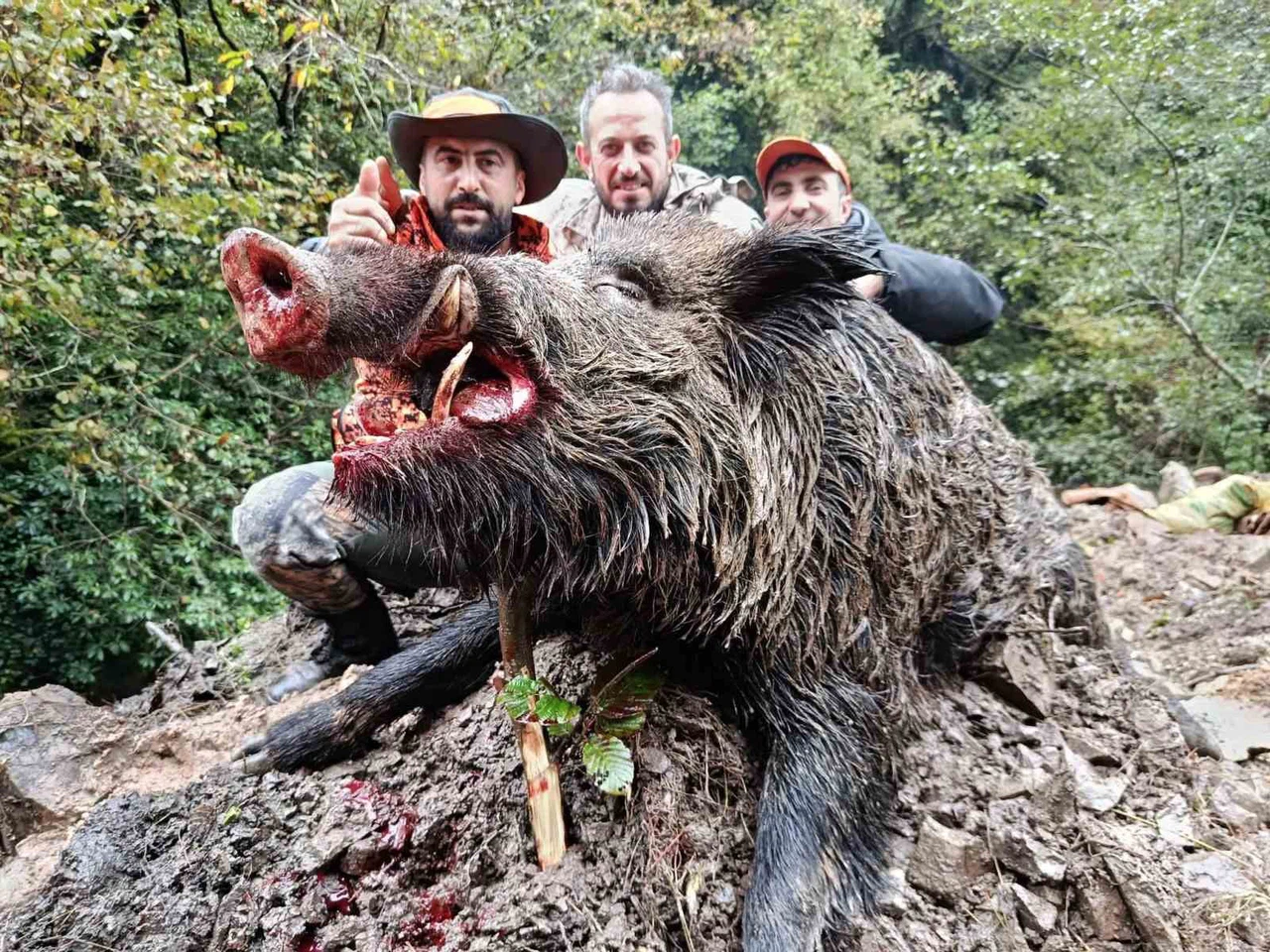 Trabzon’da sürek avında avladıkları hayvan, görenleri şoke etti!