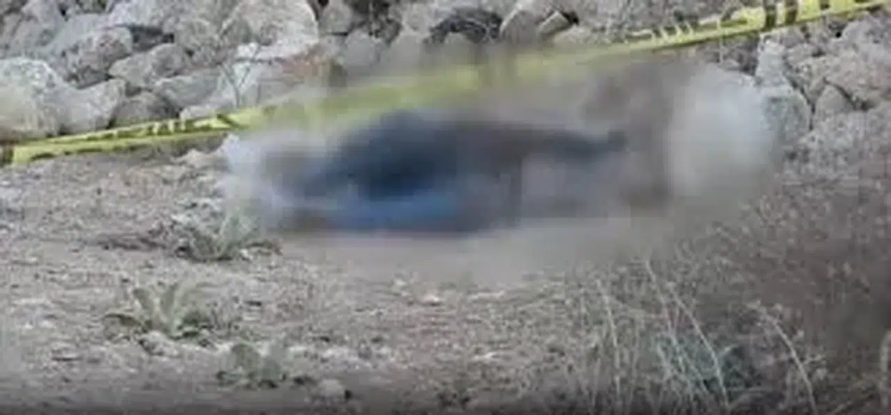 Zeytin çektirdikten sonra yola çıktı, bir daha eve dönemedi