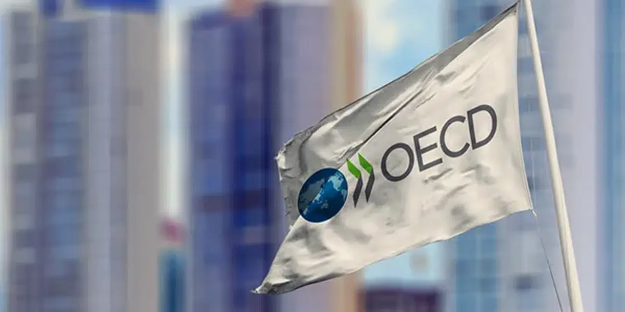 OECD'nin en hızlı büyüyen 4'üncü ekonomisi Türkiye