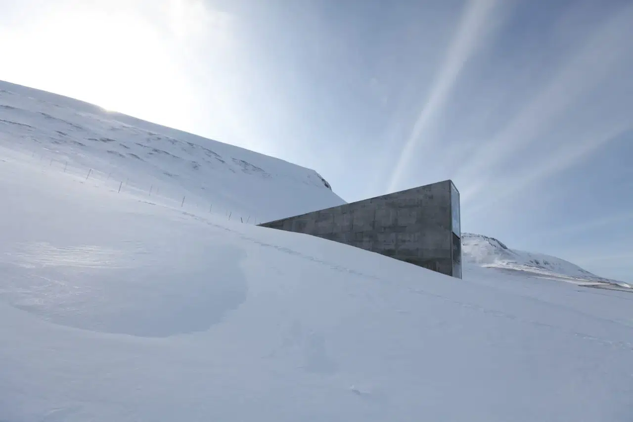 İstanbul Modern’de ücretsiz sanat günü: 12 film, 1 söyleşi, 1 usta belgesel!